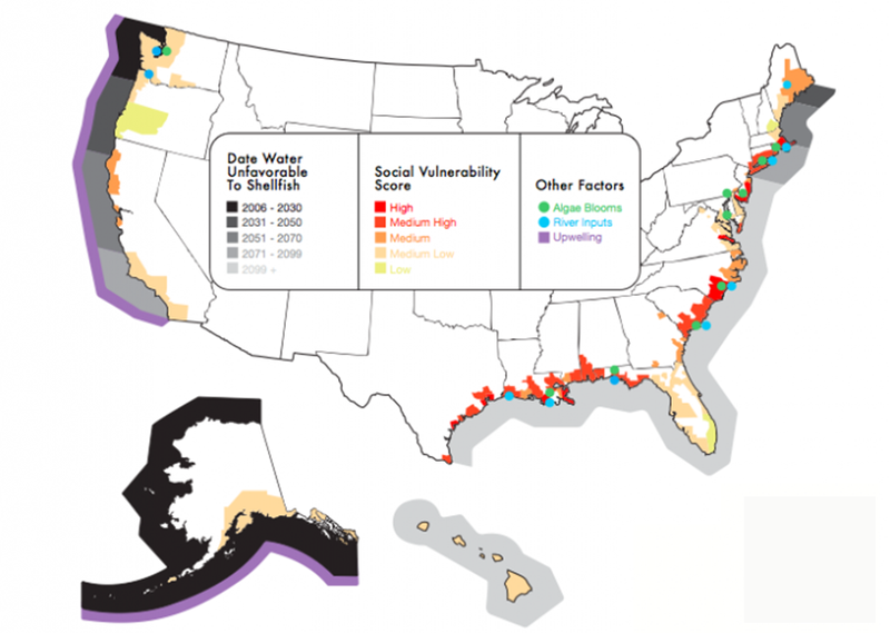 Of the 23 U.S. coastal regions identified by the Natural Resources Defense Council, 16 of them will face ocean acidification levels unfavorable for shellfish. Overlaying social factors, levels of agricultural runoff, local pollution and upwelling, a natural ocean process that brings more corrosive deep ocean water to the surface, helps tease out regional differences in vulnerability.